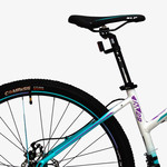 Bicicleta Aspen 2953L R29 21V Dis.alum.19 Shimano Negr-Amar